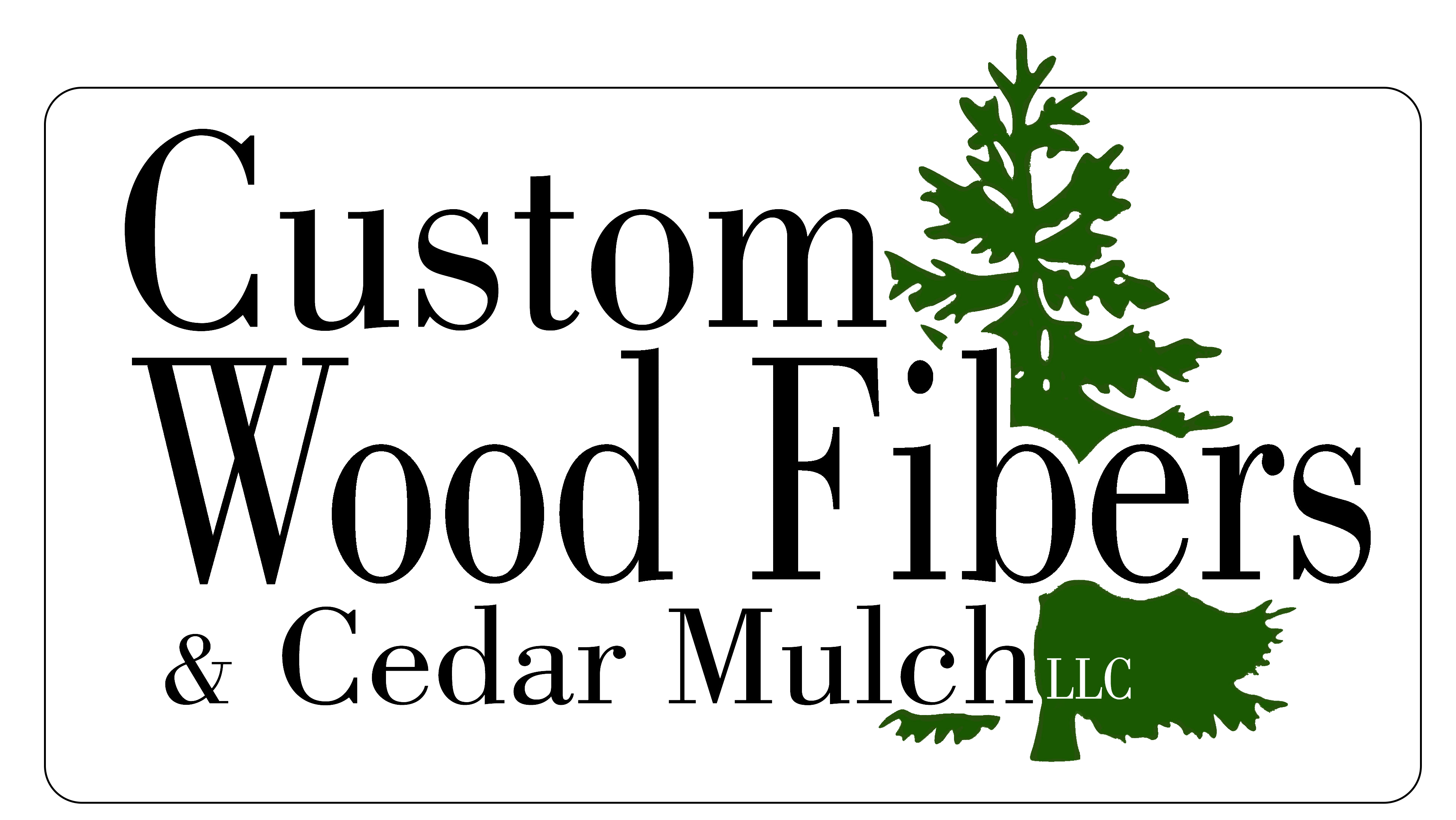 custom-fiber-logo_png