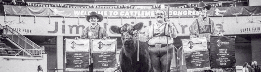 CC_WebBanner_900x250 (1)